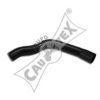 CAUTEX 186047 Radiator Hose